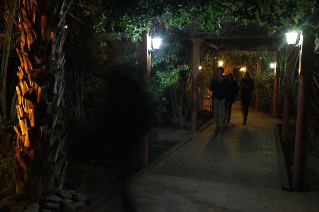 Fibule Du Draa Kasbah D'hôtes Zagora Exterior foto