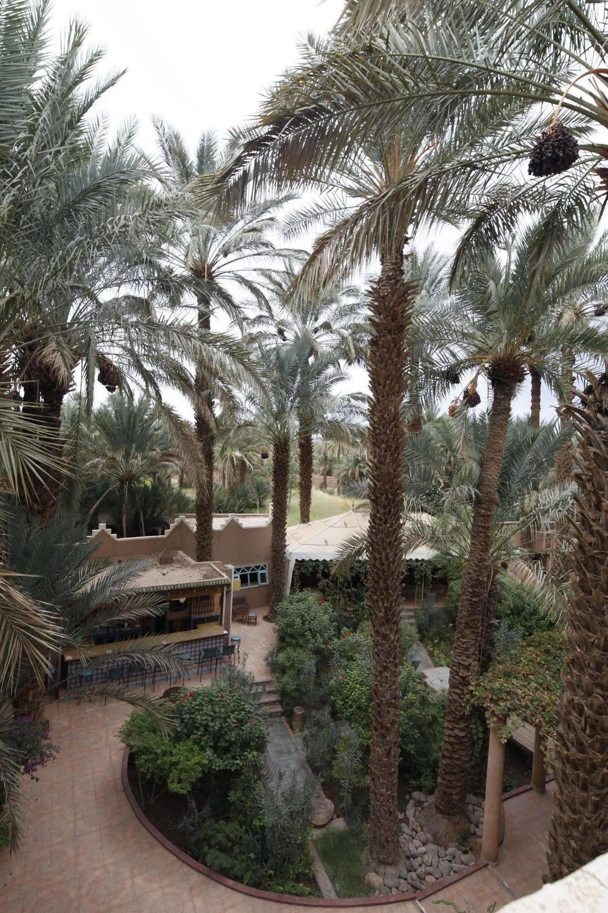 Fibule Du Draa Kasbah D'hôtes Zagora Exterior foto